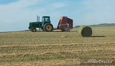 4440 and 4430 baling hay and some cra...