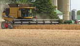 Soybean Harvest 2020 | Challenger 660B Harvesting Soybeans