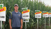 New Eastern Canada DEKALB® Corn Hybrids