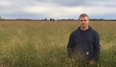 Todd Nixon discusses using Switchgrass on his Ontario Dairy Farm