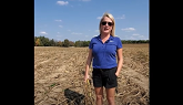 Bt Resistant Rootworm Video