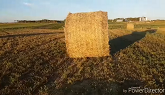 Long hauling hay!