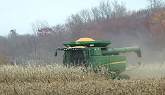 Corn Harvest 2020 | 2 John Deere S770 Combines harvesting corn