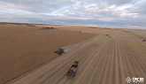 Harvest 2020 In central Saskatchewan FPV