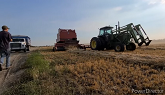 Barley harvest with the 1682 and the ...
