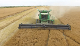 CDC Rowland Flax Seed Harvest in 2020