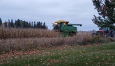 Harvesting corn in Ontario
