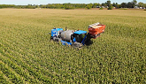 Cover Crops -- Cereal Rye