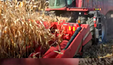 Combine Harvesting Corn 4K Drone Footage