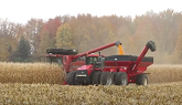 Corn Harvest 2020 | Case IH 8230 Combine Harvesting Corn