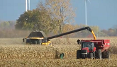 Corn Harvest 2020 | New Holland CR 9080 Combine Harvesting Corn