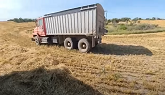 Trucking Barley From The Combines!