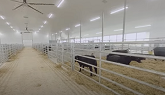 Cow-Calf Housing - Virtual 360º Tour of the Ontario Beef Research Centre