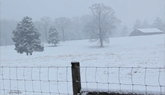 White Christmas in Clemmons, NC - Snowy Farm