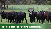 Is It Time to Start Grazing?