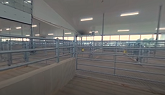 Maternity Section - Virtual 360º Tour of the Ontario Beef Research Centre