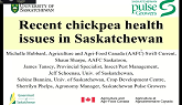 Pulse Agronomy Webinar: Chickpea Plant Health Update