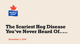 Strep Zoo: The Scariest Pig Disease You’ve Never Heard Of...