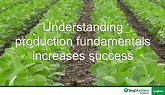 Growing Soybeans: Opportunities and c...