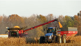 Corn Harvest 2020 | Case IH 8250 Axial Flow Combine Harvesting Corn