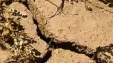 La Nina Worsening Western Drought