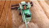 CDC Rowland Flax Seed 2020 Harvest