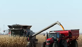 Corn Harvest 2020 | Gleaner S68 Combine Harvesting Corn