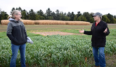 The Impact of Cover Crops in a Processing Vegetable-Grain Cropping System in Ontario, Canada
