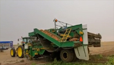 Southern Alberta Potato Harvest with 6 row dirty digger and 3600 shuttle cart.