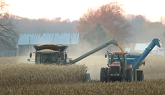 Corn Harvest 2020 | Gleaner S97 Combine Harvesting Corn