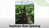 2020 On-Farm Network Results Series: Soybean Row Spacing
