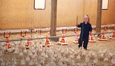 Life of a Turkey Farm Family