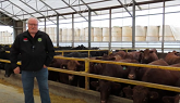 Ontario’s Feedlot Cattle Behavioral and Feed Bunk Management Study