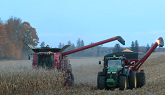 Corn Harvest 2020 | Case IH 7140 Axial Flow Combine Harvesting Corn