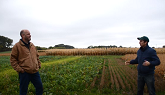 Early Lessons from a Long-term Cover Crop Trial for Field Crops in Ontario, Canada