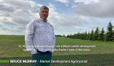 Corn Herbicides | Western Canada | The Front Row | Bayer Crop Science