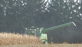 Harvest 2020 | John Deere 9670STS Combine Harvesting Corn