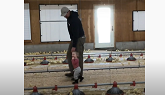 Chicken As Usual with CFO Farmer-Member & DCR Chris Klompmaker