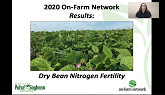 2020 On-Farm Network Results Series: Dry Bean Nitrogen Fertility