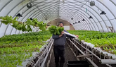 HOW WE HARVEST IN OUR HYDROPHONIC NFT...