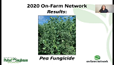 2020 On-Farm Network Results Series: Pea Fungicide