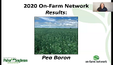 2020 On-Farm Network Results Series: Pea Boron