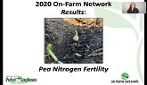 2020 On-Farm Network Results Series: Pea Nitrogen Fertility