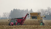 Corn Harvest 2020 | Challenger 670B Combine Harvesting Corn