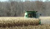 Corn Harvest 2020 | John Deere 9610 Maximizer Combine Harvesting Corn