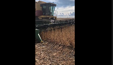 Kendall Soybeans