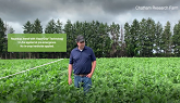 Soybean Traits Residual Broadleaf Weed Control Comparison | The Front Row | Bayer Crop Science