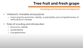 Tree Fruit and Fresh Grape Scouting and Introduction