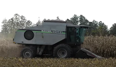 Corn Harvest 2020 | Gleaner R50 Combine Harvesting Corn