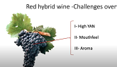 Making Red Wine from Hybrids: Challenges and How to Solve Them
